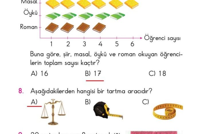 2. Sınıf Matematik Pasifik Yayınları Sayfa 233 Cevapları