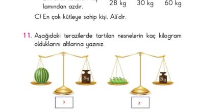 2. Sınıf Matematik Pasifik Yayınları Sayfa 234 Cevapları