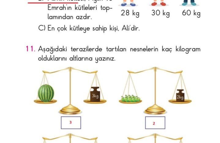 2. Sınıf Matematik Pasifik Yayınları Sayfa 234 Cevapları