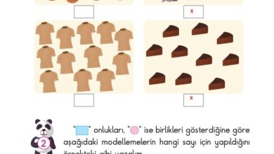 2. Sınıf Matematik Pasifik Yayınları Sayfa 24 Cevapları