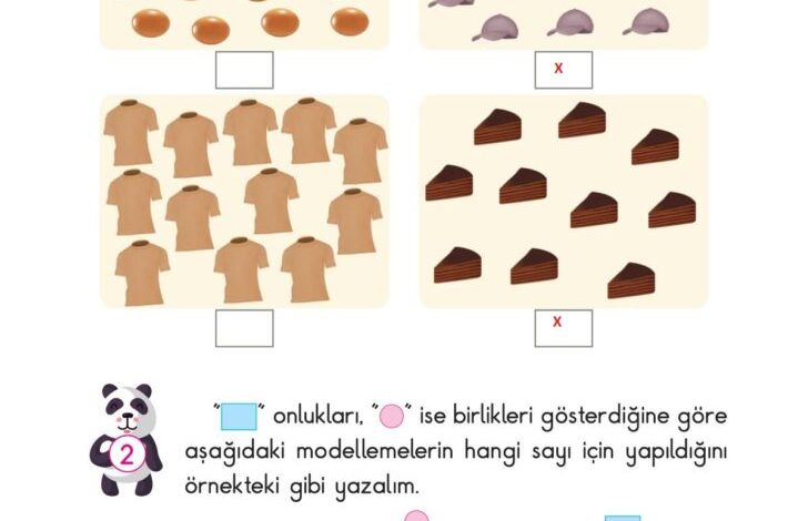 2. Sınıf Matematik Pasifik Yayınları Sayfa 24 Cevapları