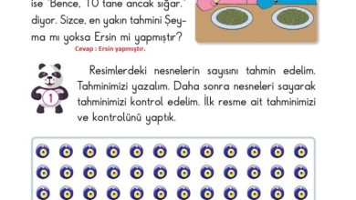 2. Sınıf Matematik Pasifik Yayınları Sayfa 25 Cevapları