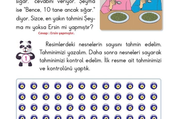 2. Sınıf Matematik Pasifik Yayınları Sayfa 25 Cevapları