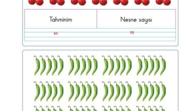 2. Sınıf Matematik Pasifik Yayınları Sayfa 26 Cevapları