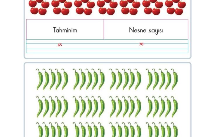 2. Sınıf Matematik Pasifik Yayınları Sayfa 26 Cevapları