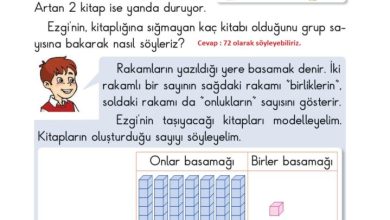 2. Sınıf Matematik Pasifik Yayınları Sayfa 27 Cevapları