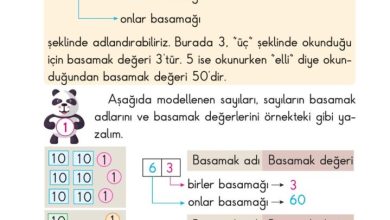 2. Sınıf Matematik Pasifik Yayınları Sayfa 28 Cevapları