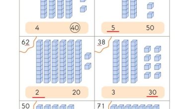 2. Sınıf Matematik Pasifik Yayınları Sayfa 29 Cevapları