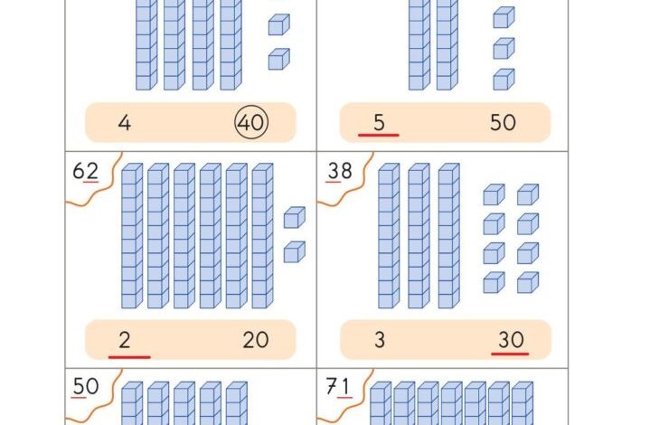 2. Sınıf Matematik Pasifik Yayınları Sayfa 29 Cevapları