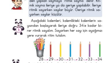 2. Sınıf Matematik Pasifik Yayınları Sayfa 30 Cevapları