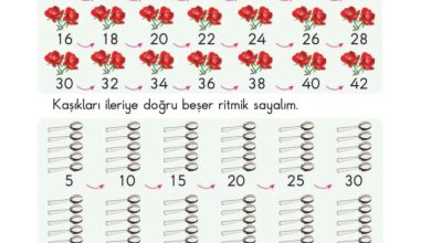 2. Sınıf Matematik Pasifik Yayınları Sayfa 31 Cevapları