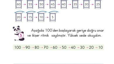 2. Sınıf Matematik Pasifik Yayınları Sayfa 32 Cevapları