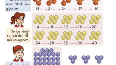 2. Sınıf Matematik Pasifik Yayınları Sayfa 33 Cevapları