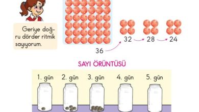 2. Sınıf Matematik Pasifik Yayınları Sayfa 34 Cevapları