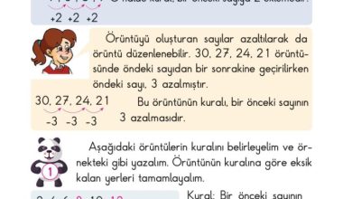 2. Sınıf Matematik Pasifik Yayınları Sayfa 35 Cevapları