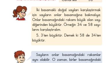 2. Sınıf Matematik Pasifik Yayınları Sayfa 36 Cevapları