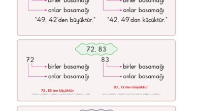 2. Sınıf Matematik Pasifik Yayınları Sayfa 37 Cevapları