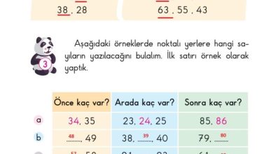 2. Sınıf Matematik Pasifik Yayınları Sayfa 38 Cevapları