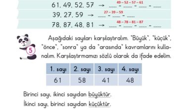 2. Sınıf Matematik Pasifik Yayınları Sayfa 39 Cevapları