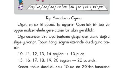 2. Sınıf Matematik Pasifik Yayınları Sayfa 40 Cevapları