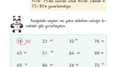 2. Sınıf Matematik Pasifik Yayınları Sayfa 41 Cevapları