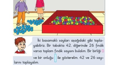 2. Sınıf Matematik Pasifik Yayınları Sayfa 42 Cevapları