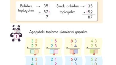 2. Sınıf Matematik Pasifik Yayınları Sayfa 43 Cevapları