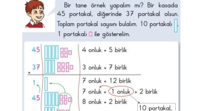 2. Sınıf Matematik Pasifik Yayınları Sayfa 44 Cevapları