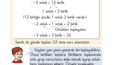 2. Sınıf Matematik Pasifik Yayınları Sayfa 45 Cevapları