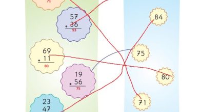 2. Sınıf Matematik Pasifik Yayınları Sayfa 46 Cevapları