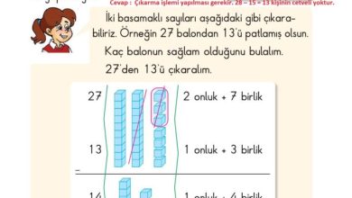 2. Sınıf Matematik Pasifik Yayınları Sayfa 47 Cevapları