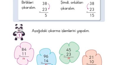 2. Sınıf Matematik Pasifik Yayınları Sayfa 48 Cevapları