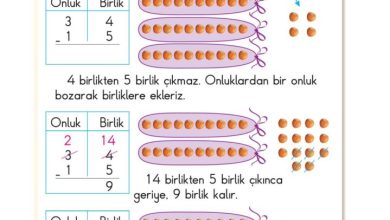 2. Sınıf Matematik Pasifik Yayınları Sayfa 49 Cevapları