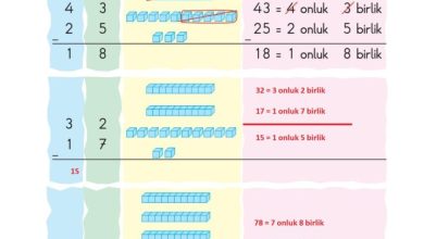 2. Sınıf Matematik Pasifik Yayınları Sayfa 50 Cevapları