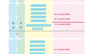 2. Sınıf Matematik Pasifik Yayınları Sayfa 51 Cevapları