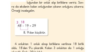 2. Sınıf Matematik Pasifik Yayınları Sayfa 52 Cevapları