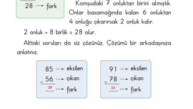 2. Sınıf Matematik Pasifik Yayınları Sayfa 53 Cevapları