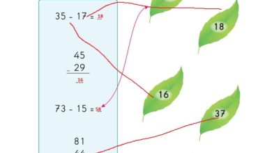 2. Sınıf Matematik Pasifik Yayınları Sayfa 54 Cevapları