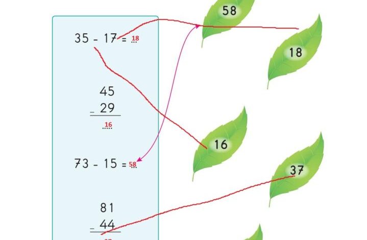 2. Sınıf Matematik Pasifik Yayınları Sayfa 54 Cevapları