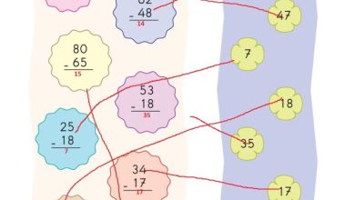 2. Sınıf Matematik Pasifik Yayınları Sayfa 55 Cevapları