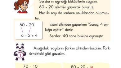 2. Sınıf Matematik Pasifik Yayınları Sayfa 56 Cevapları