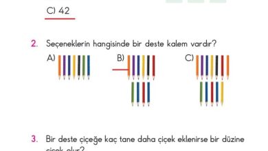 2. Sınıf Matematik Pasifik Yayınları Sayfa 58 Cevapları