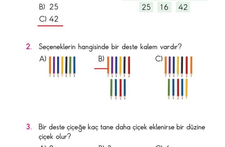 2. Sınıf Matematik Pasifik Yayınları Sayfa 58 Cevapları