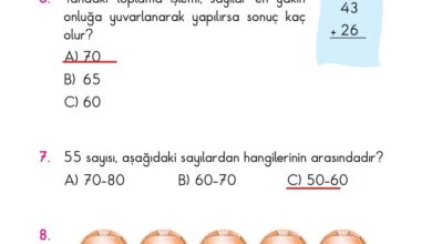 2. Sınıf Matematik Pasifik Yayınları Sayfa 59 Cevapları