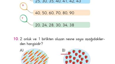 2. Sınıf Matematik Pasifik Yayınları Sayfa 60 Cevapları