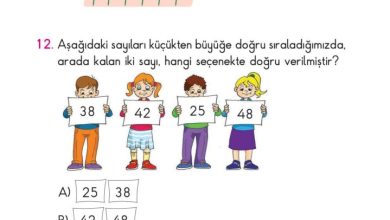 2. Sınıf Matematik Pasifik Yayınları Sayfa 61 Cevapları