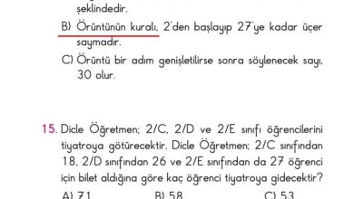 2. Sınıf Matematik Pasifik Yayınları Sayfa 62 Cevapları