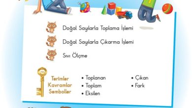 2. Sınıf Matematik Pasifik Yayınları Sayfa 63 Cevapları