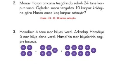 2. Sınıf Matematik Pasifik Yayınları Sayfa 64 Cevapları