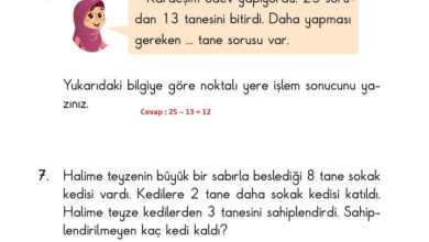 2. Sınıf Matematik Pasifik Yayınları Sayfa 65 Cevapları